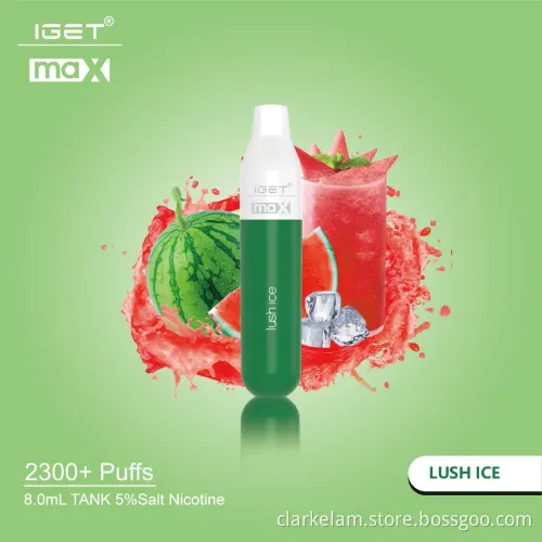 2300 Puff Disposable Vape Juice Vape Pen
